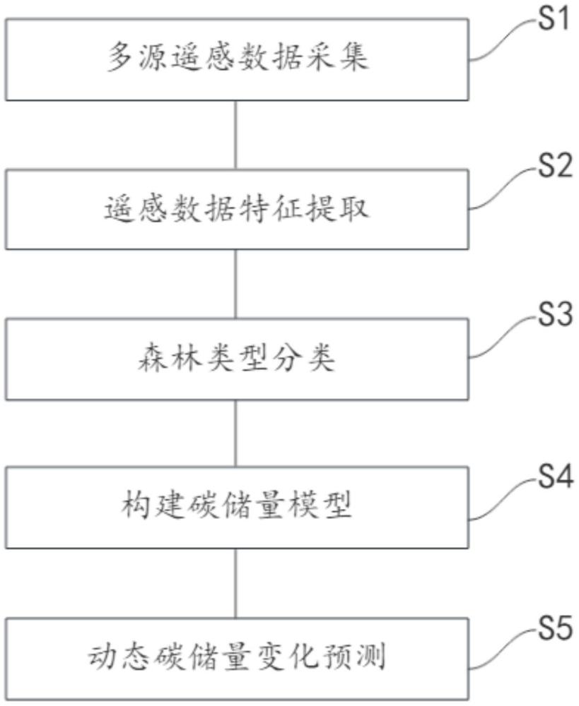 基于人工智能和多模態(tài)遙感數(shù)據(jù)的森林碳儲量估算方法與流程