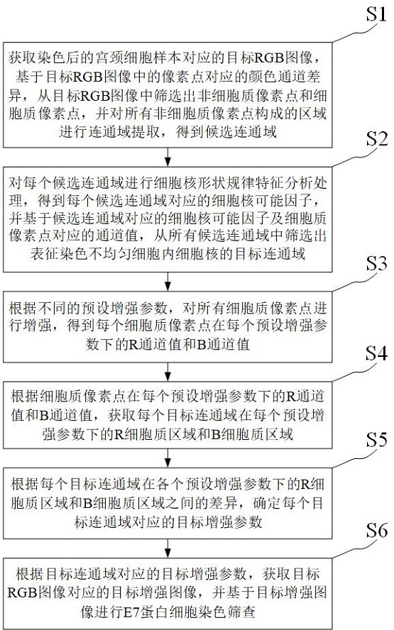 用于宮頸病變的E7蛋白細(xì)胞染色篩查裝置、方法及系統(tǒng)與流程