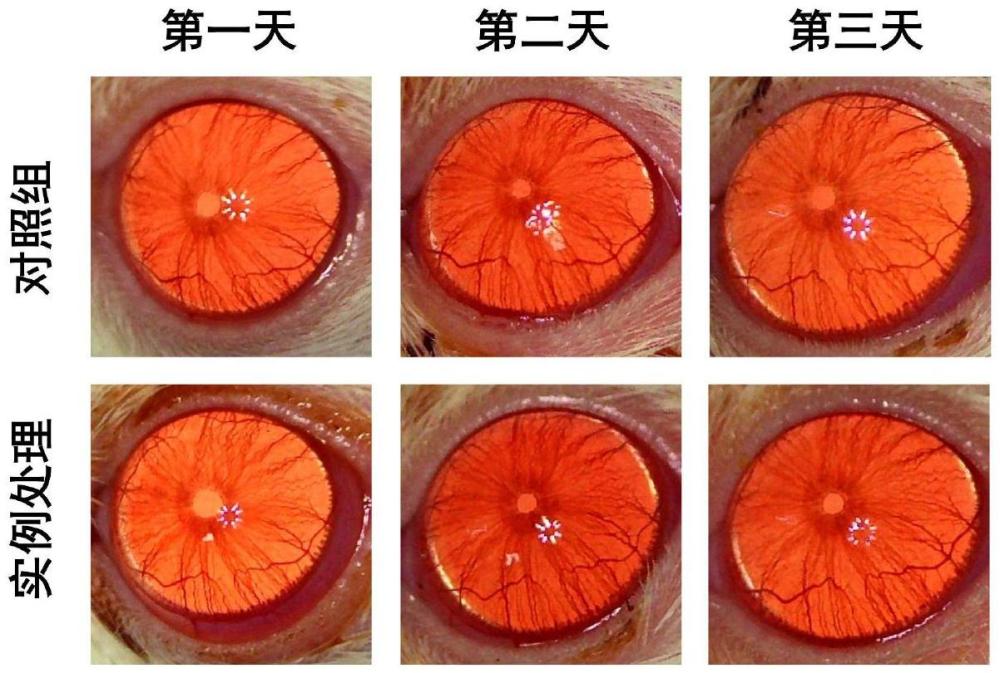 一種快速光交聯(lián)藥物緩釋型多功能水凝膠角膜接觸鏡及其制備方法