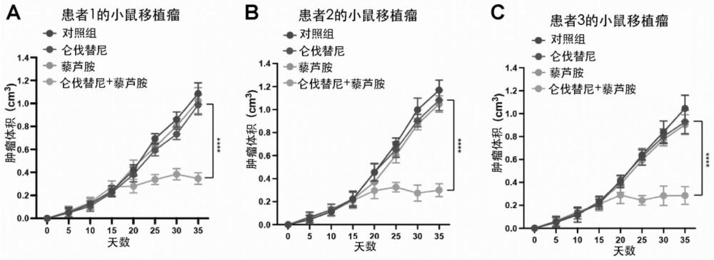 一種聯(lián)合用藥的抗腫瘤組合物、抗腫瘤組合產(chǎn)品及其應(yīng)用