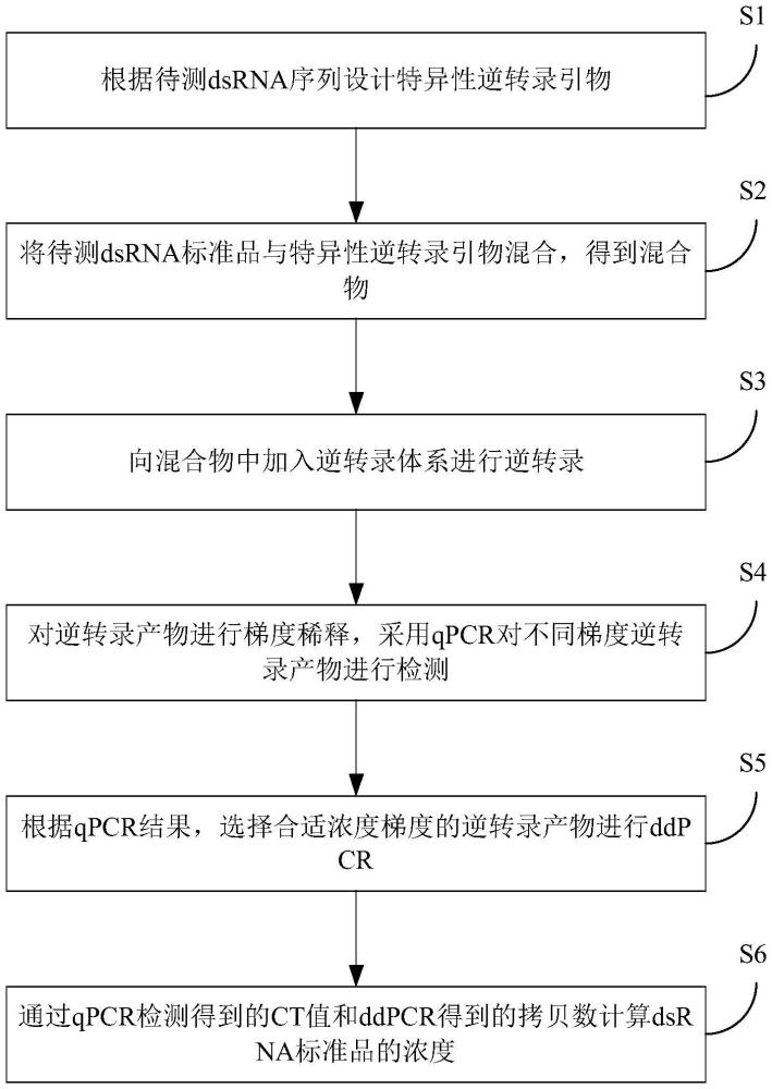 一種dsRNA標準品濃度檢測方法及其應用與流程