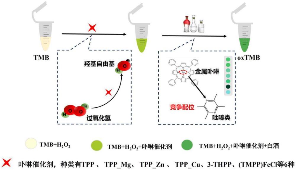 一種基于卟啉催化劑擬過氧化物酶活性氧化TMB變色的高溫大曲白酒鑒別方法