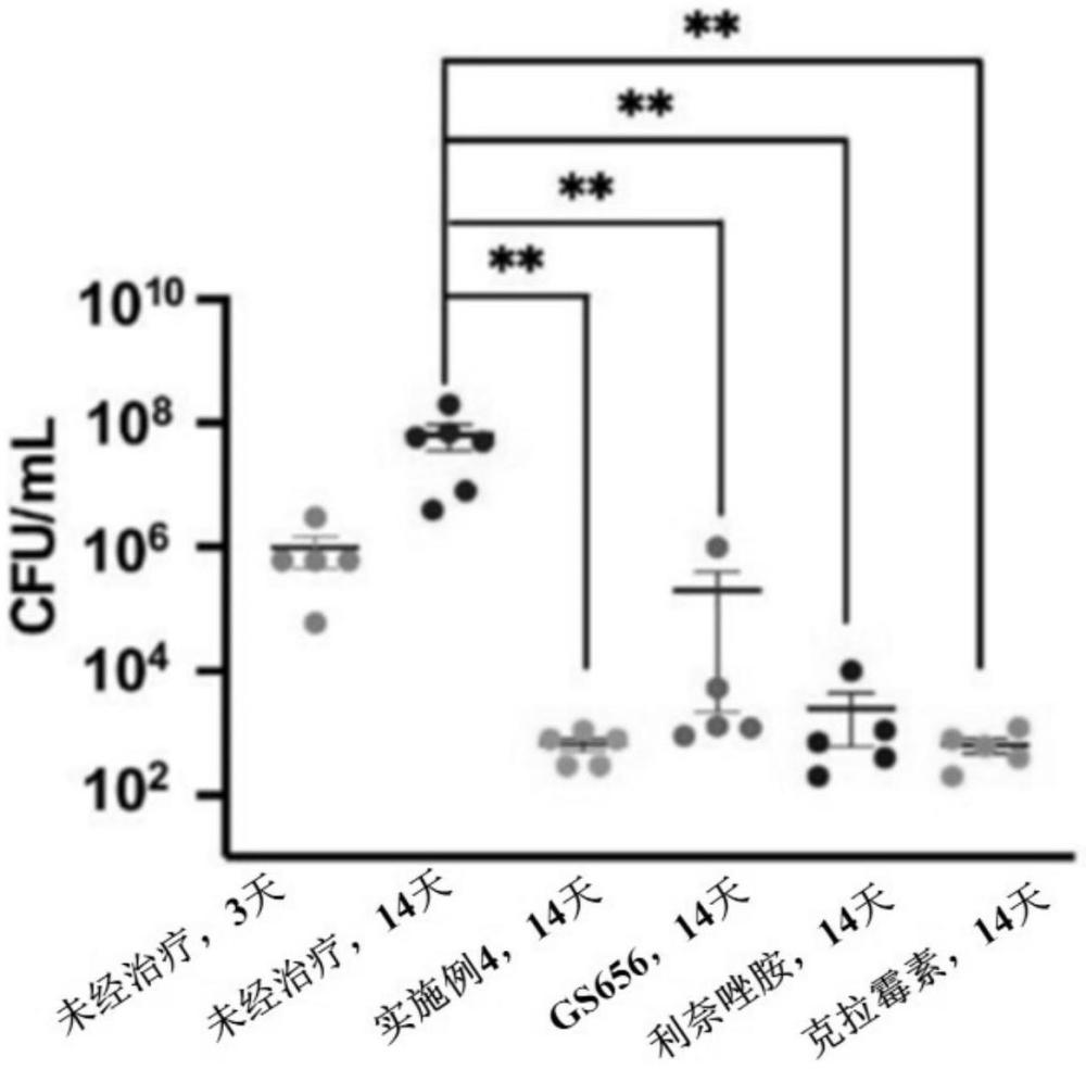 硼化合物治療非結(jié)核分枝桿菌感染的方法和用途及用于治療相同疾病的藥物組合物與流程