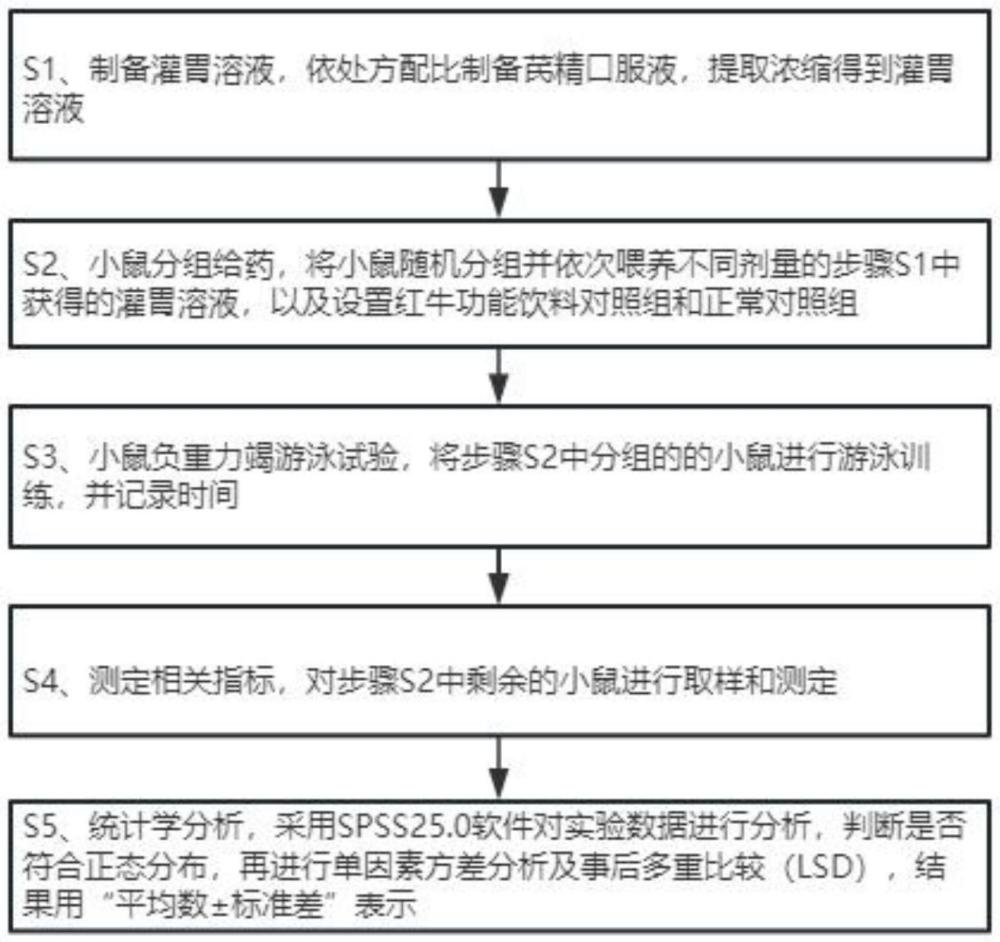 一種復(fù)方芪精口服液在小鼠的抗疲勞作用中的應(yīng)用的制作方法