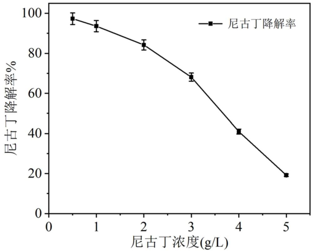 一種非脫羧勒克氏菌的應用的制作方法