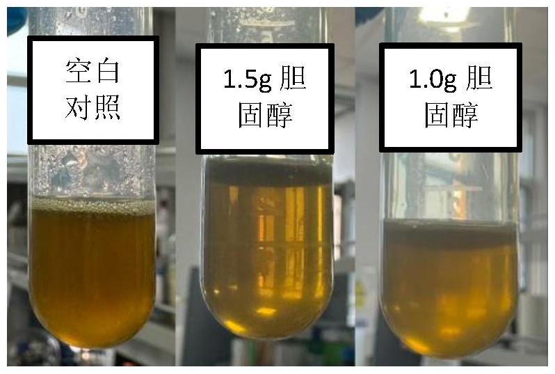 一種利用膽固醇冷卻結(jié)晶的米糠毛油脫蠟方法