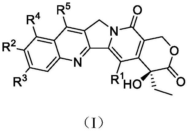 喜樹堿衍生物的制作方法