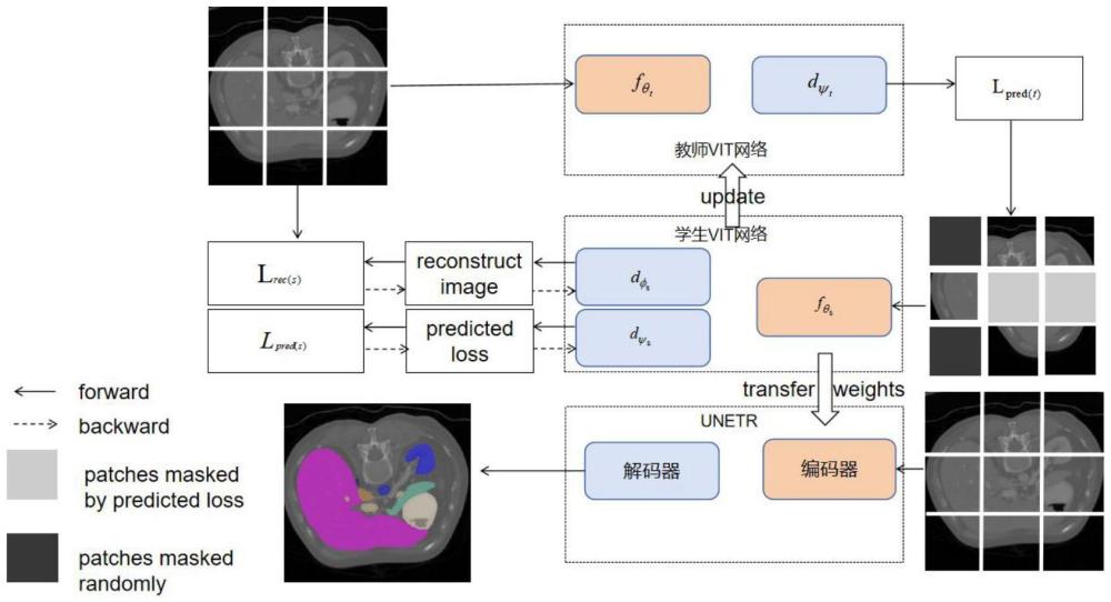 一種基于困難樣本挖掘掩碼自編碼器的醫(yī)學圖像分割自預(yù)訓(xùn)練方法及系統(tǒng)