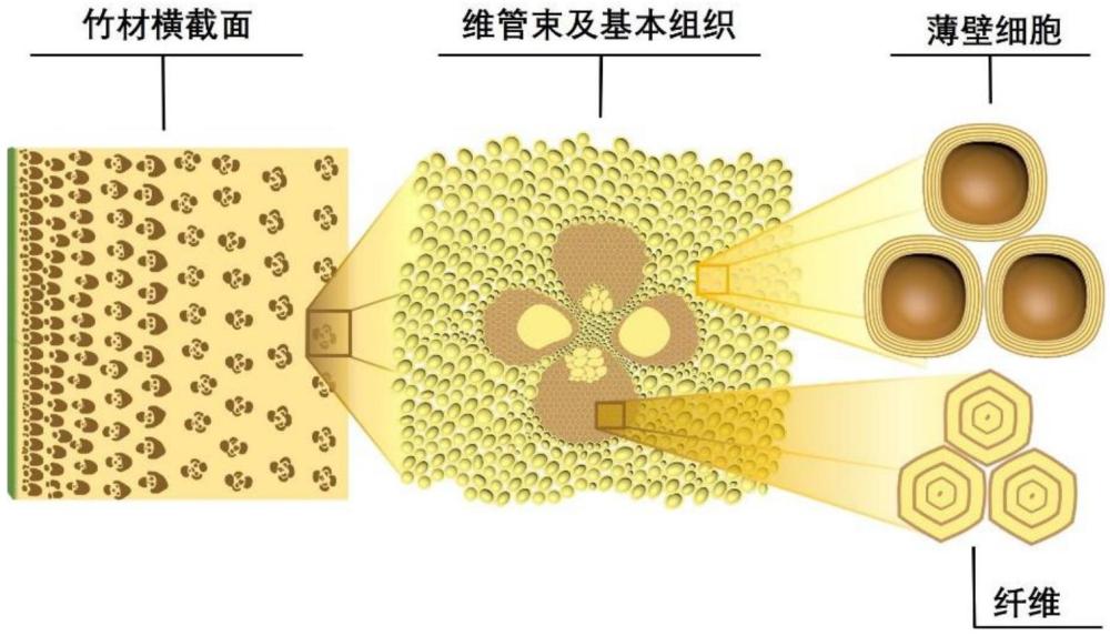 一種高性能竹纖維無膠成型環(huán)保材料的制備方法