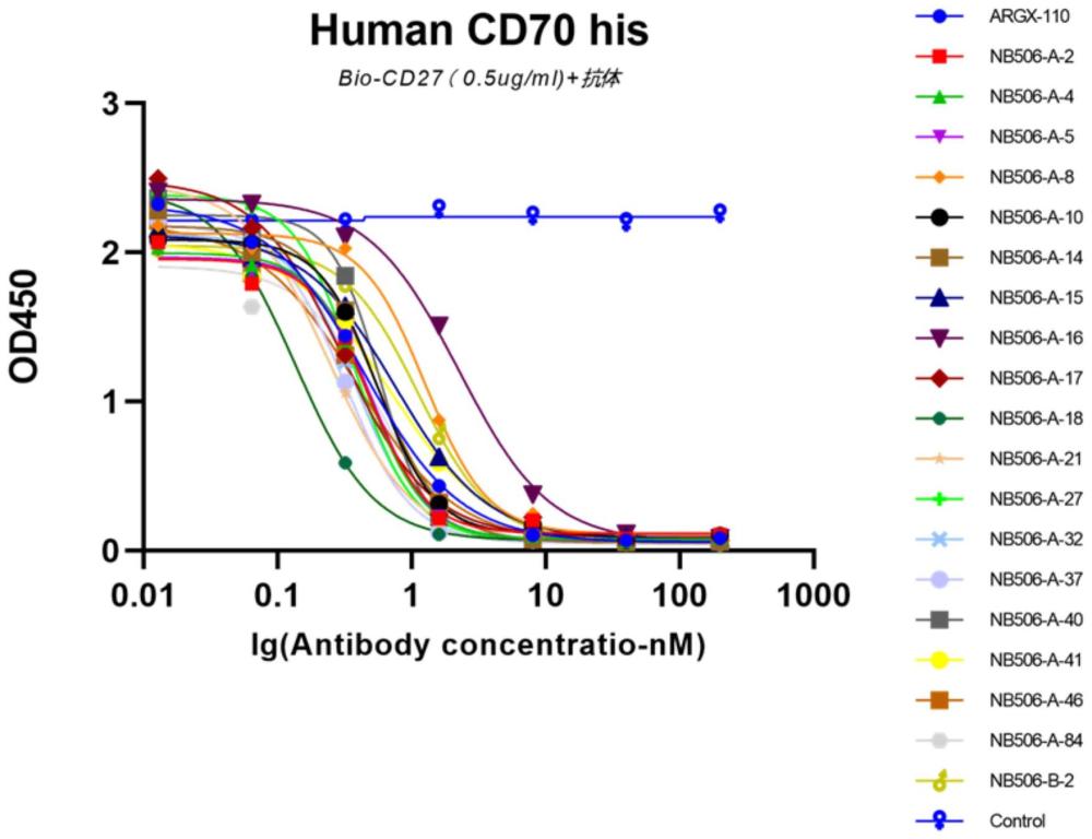 阻斷CD70-CD27信號(hào)軸的抗人CD70納米抗體及其VHH鏈與應(yīng)用