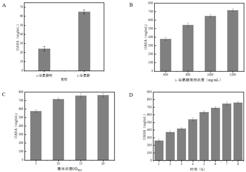 高效生產(chǎn)γ-氨基丁酸的重組大腸桿菌及其構(gòu)建方法和應(yīng)用