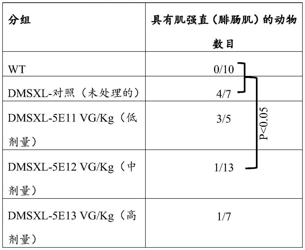 DM-1肌強(qiáng)直性營養(yǎng)不良的靶向基因療法的制作方法