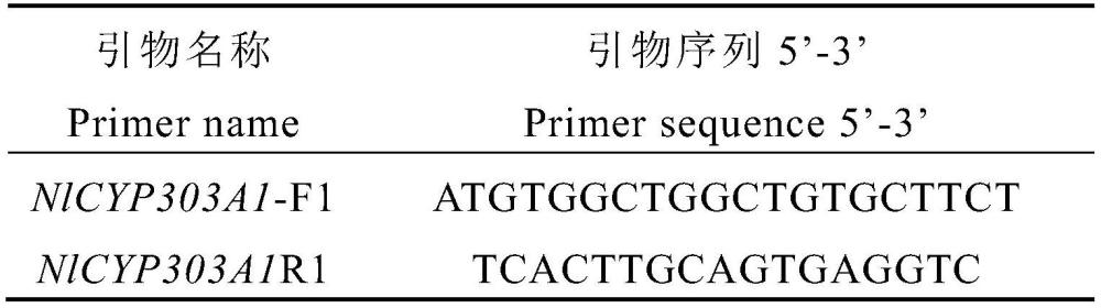 褐飛虱基因NlCYP303A1及其納米核酸農(nóng)藥