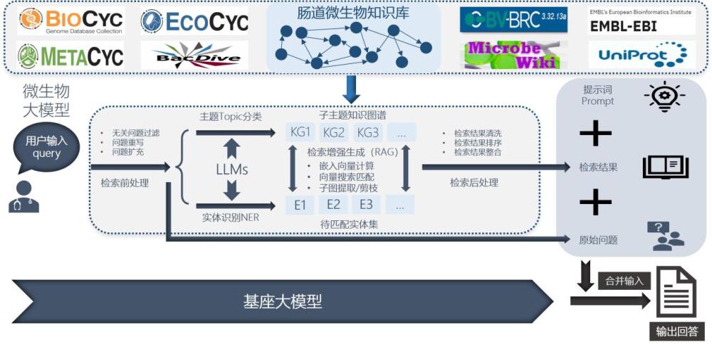 一種基于知識(shí)圖譜和大模型的腸道微生物智能問答系統(tǒng)的制作方法