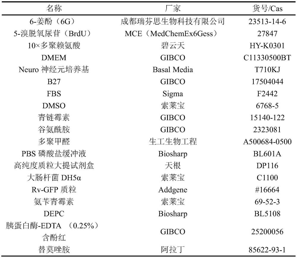 姜酚類化合物在制備治療遺傳性智力與認(rèn)知功能障礙性疾病的產(chǎn)品中的應(yīng)用