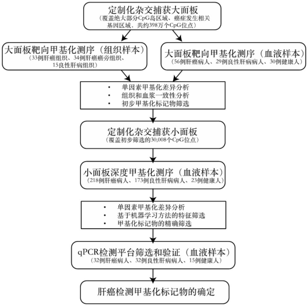 一種原發(fā)性肝癌的分子標(biāo)記物核酸組合、試劑盒及其應(yīng)用的制作方法