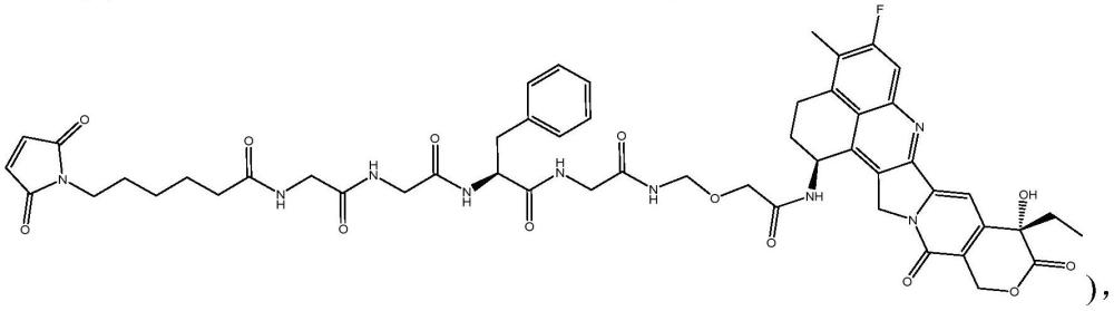 利用環(huán)糊精類化合物制備抗體-藥物偶聯(lián)物的方法與流程