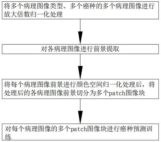 面向病理圖像的基于大模型的圖像分析和診斷方法及系統(tǒng)與流程