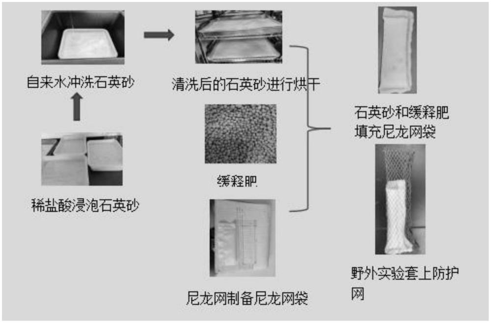 一種叢枝菌根真菌菌絲收集方法