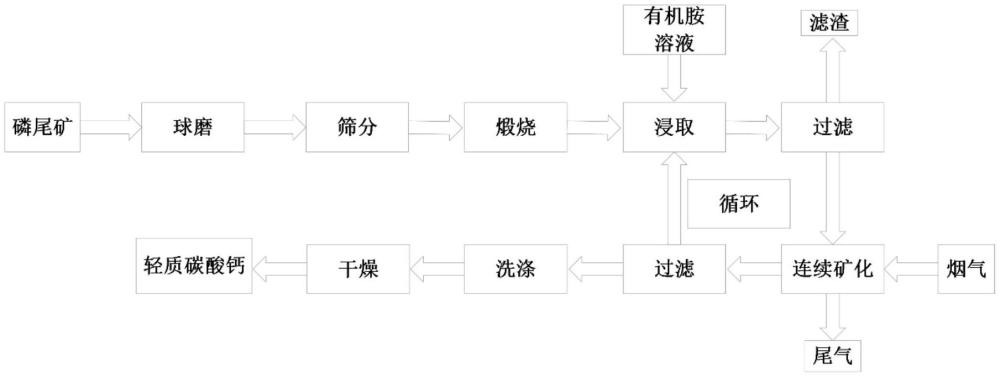 一種從磷尾礦中浸出鈣的方法及礦化封存二氧化碳聯(lián)產(chǎn)輕質(zhì)碳酸鈣的方法