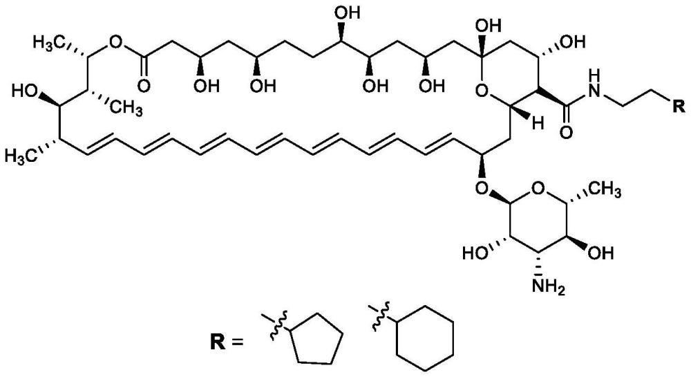 一種基于16位羧基修飾的低毒性?xún)尚悦顾谺衍生物及其制備方法和應(yīng)用