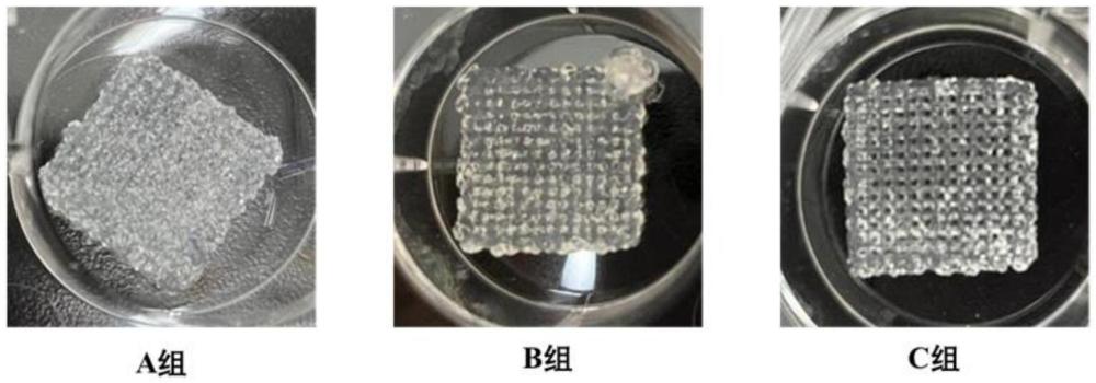 一種具有生物活性的3D打印水凝膠支架及其制備方法和應(yīng)用與流程