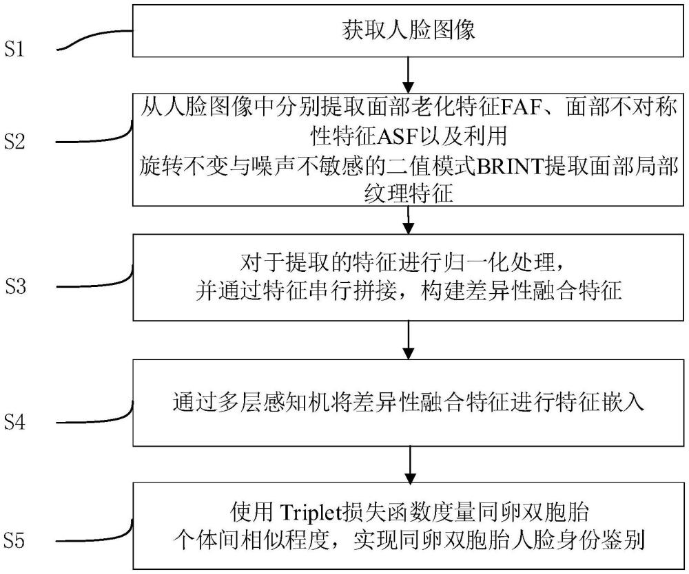 基于面部融合特征同卵雙胞胎鑒別方法、設(shè)備及存儲(chǔ)介質(zhì)與流程