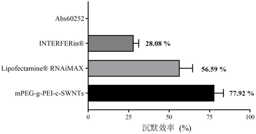 基于mPEG-PEI-c-SWCNTs的siRNA遞送系統(tǒng)及其制備方法和應用