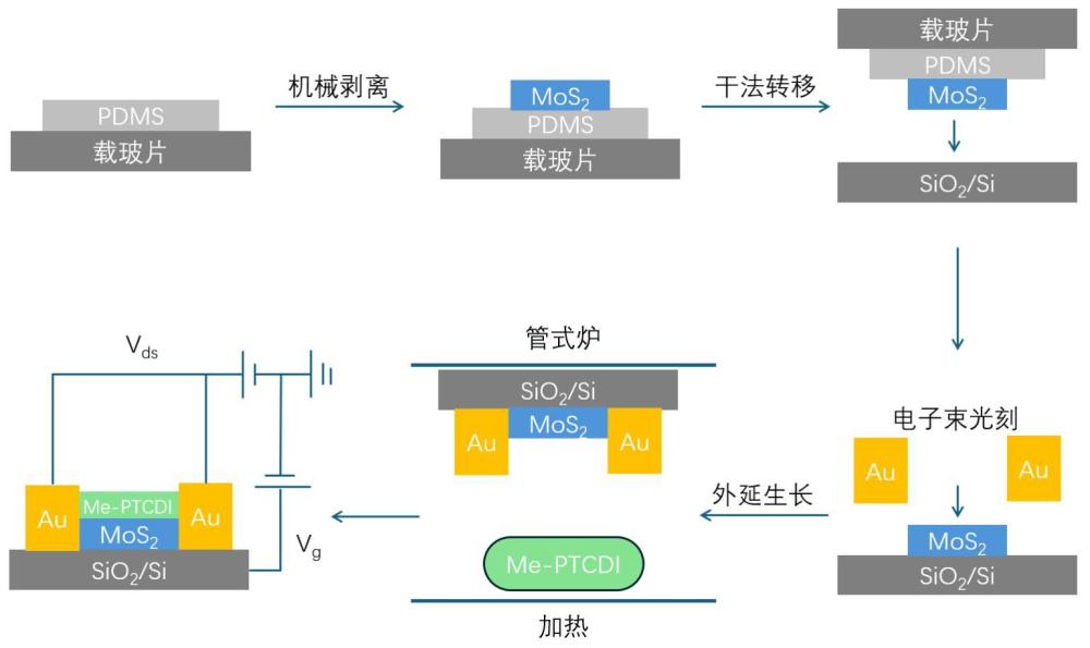 二維有機(jī)/無機(jī)異質(zhì)結(jié)光電神經(jīng)元器件及其制備方法