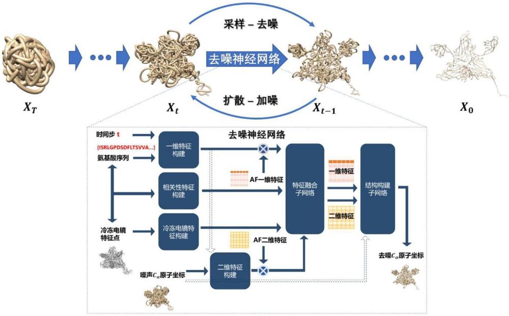 基于冷凍電鏡與擴(kuò)散模型的蛋白質(zhì)結(jié)構(gòu)預(yù)測方法