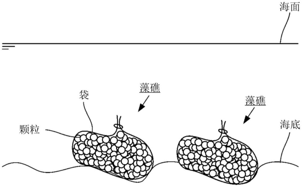 藻礁及其制造方法與流程