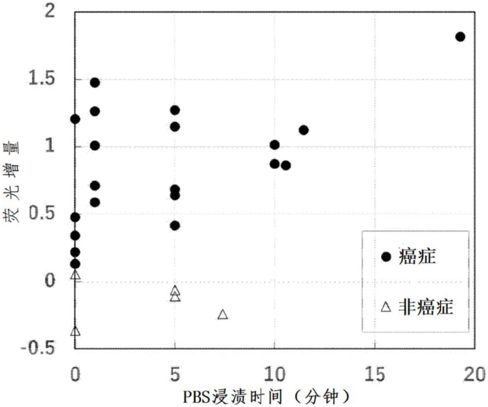 熒光圖像診斷的預(yù)處理方法與流程