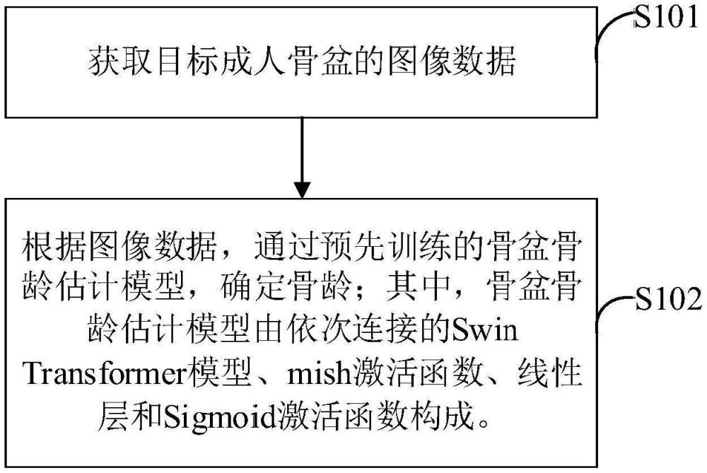 成人骨齡估算方法、裝置、電子設(shè)備及存儲介質(zhì)