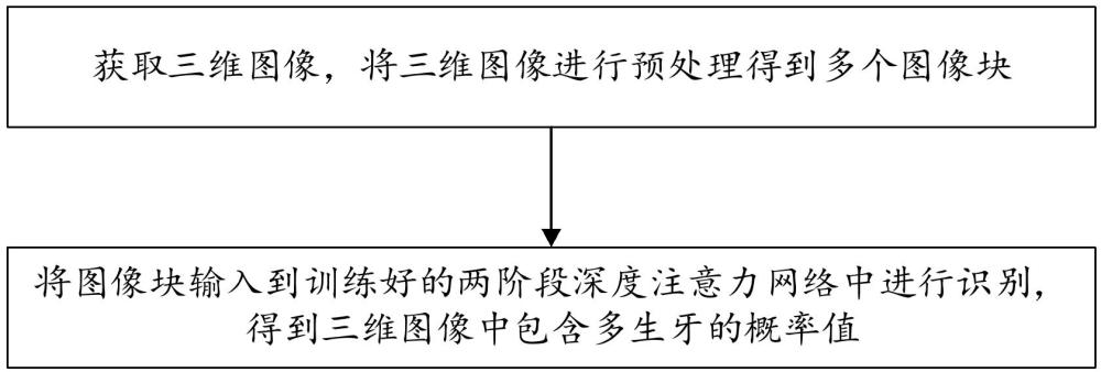 多生牙自动检测方法、装置、存储介质及电子设备