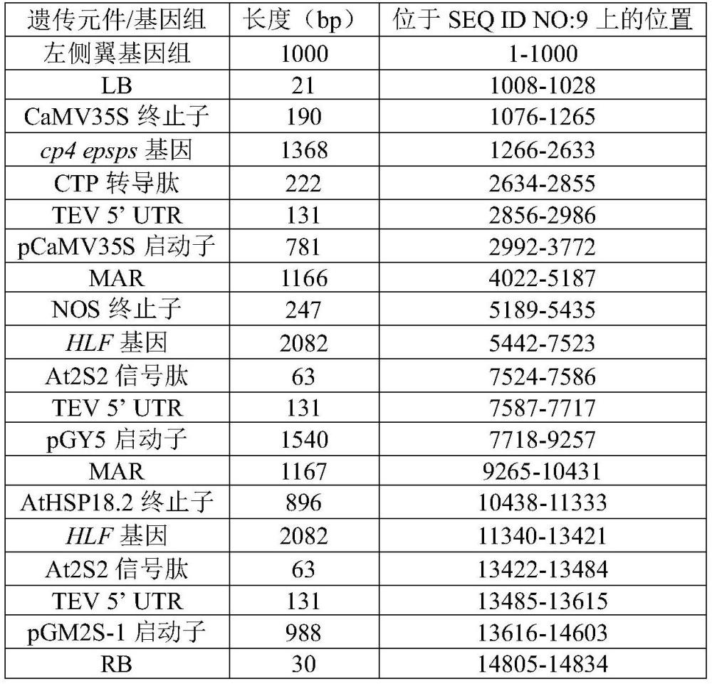 高表達人乳鐵蛋白的轉(zhuǎn)基因大豆事件HLAF-3及其檢測方法和應(yīng)用與流程