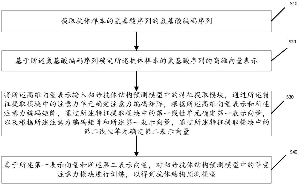 抗體結(jié)構(gòu)預(yù)測模型的訓(xùn)練方法、抗體結(jié)構(gòu)預(yù)測方法及設(shè)備與流程