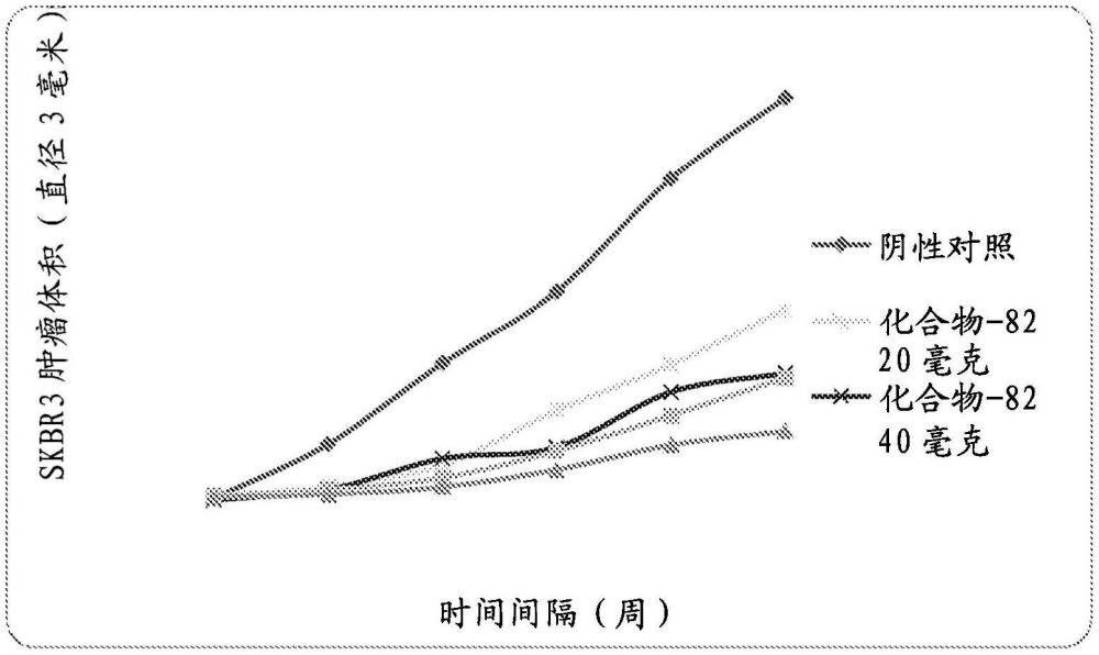 藥物組合物及其用于治療癌癥的用途