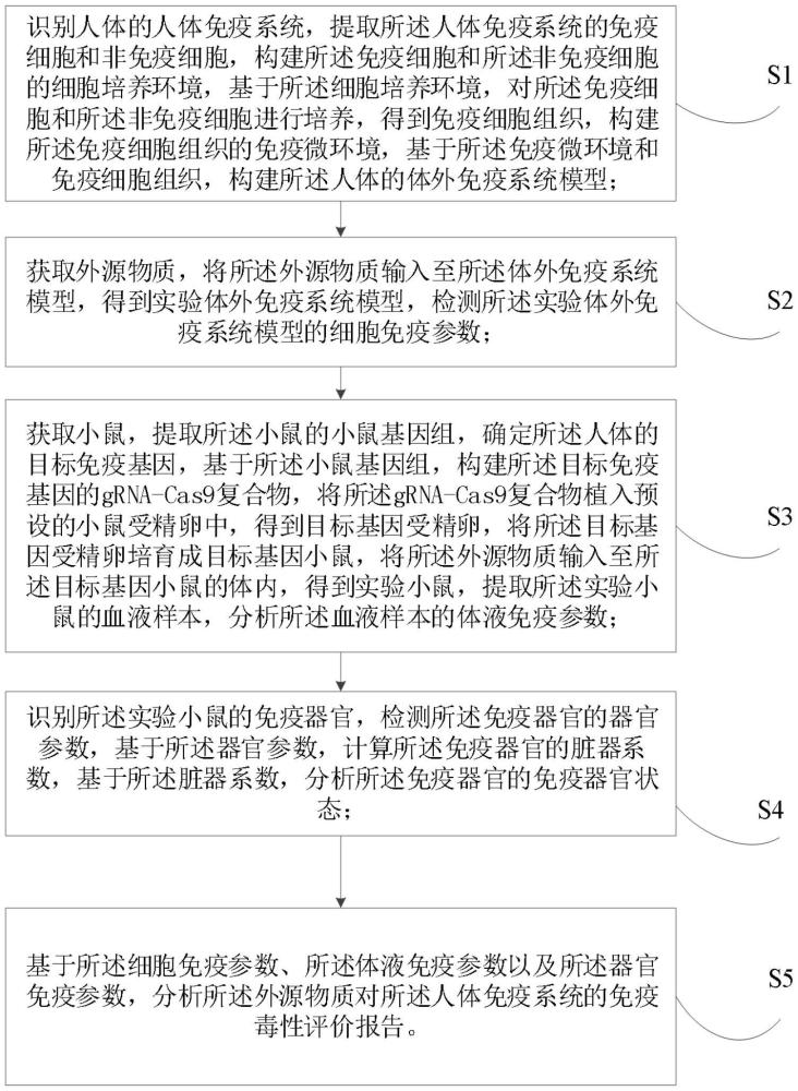 一種免疫毒性的分析評價(jià)方法及系統(tǒng)與流程