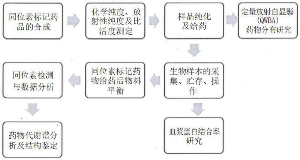 基于同位素標記確定甲磺酸胺銀內酯B主要代謝物的方法與流程