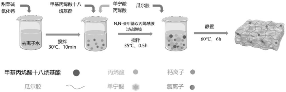 一種耐低溫水凝膠電極貼片及其制備方法與應(yīng)用