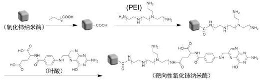 用于骨缺損修復(fù)的氧化鈰基納米材料及其制備方法以及氧化鈰基復(fù)合骨支架