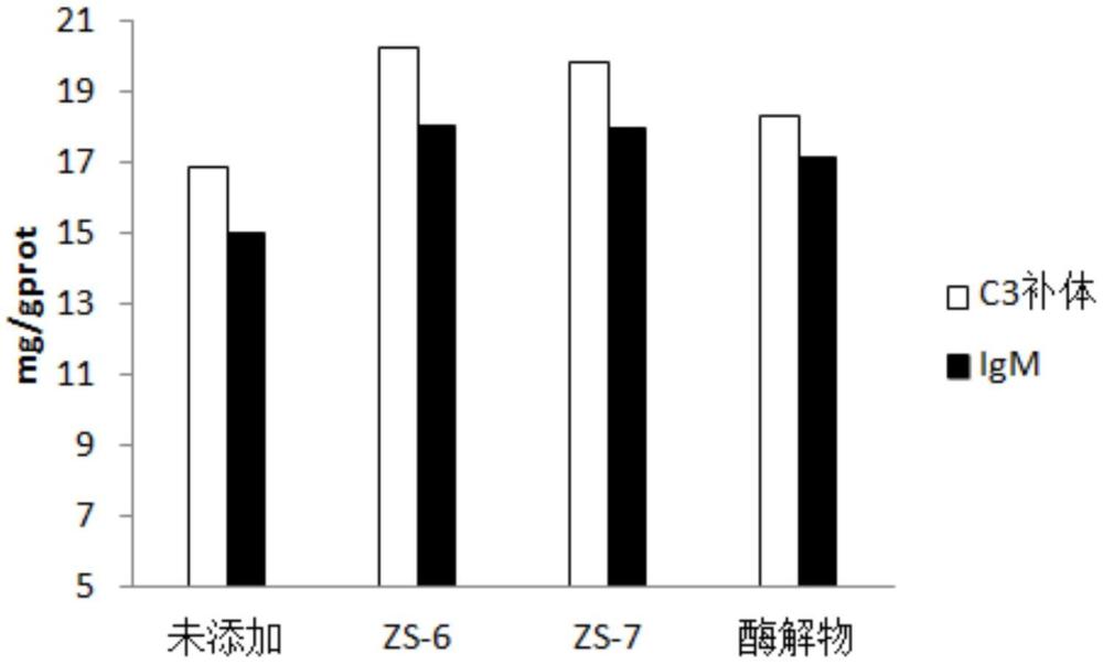 紫蘇蛋白在制備提高巴沙魚(yú)免疫力的飼料中的應(yīng)用的制作方法