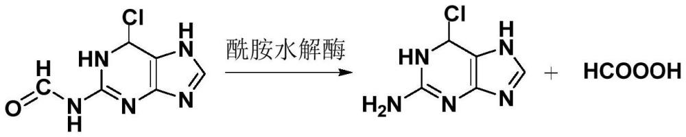 一種基于酰胺水解酶合成2-氨基-6-氯鳥嘌呤的方法與流程