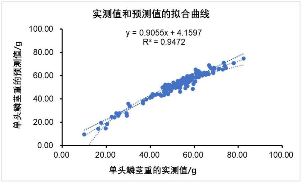 一種預(yù)測大蒜鮮重產(chǎn)量的方法