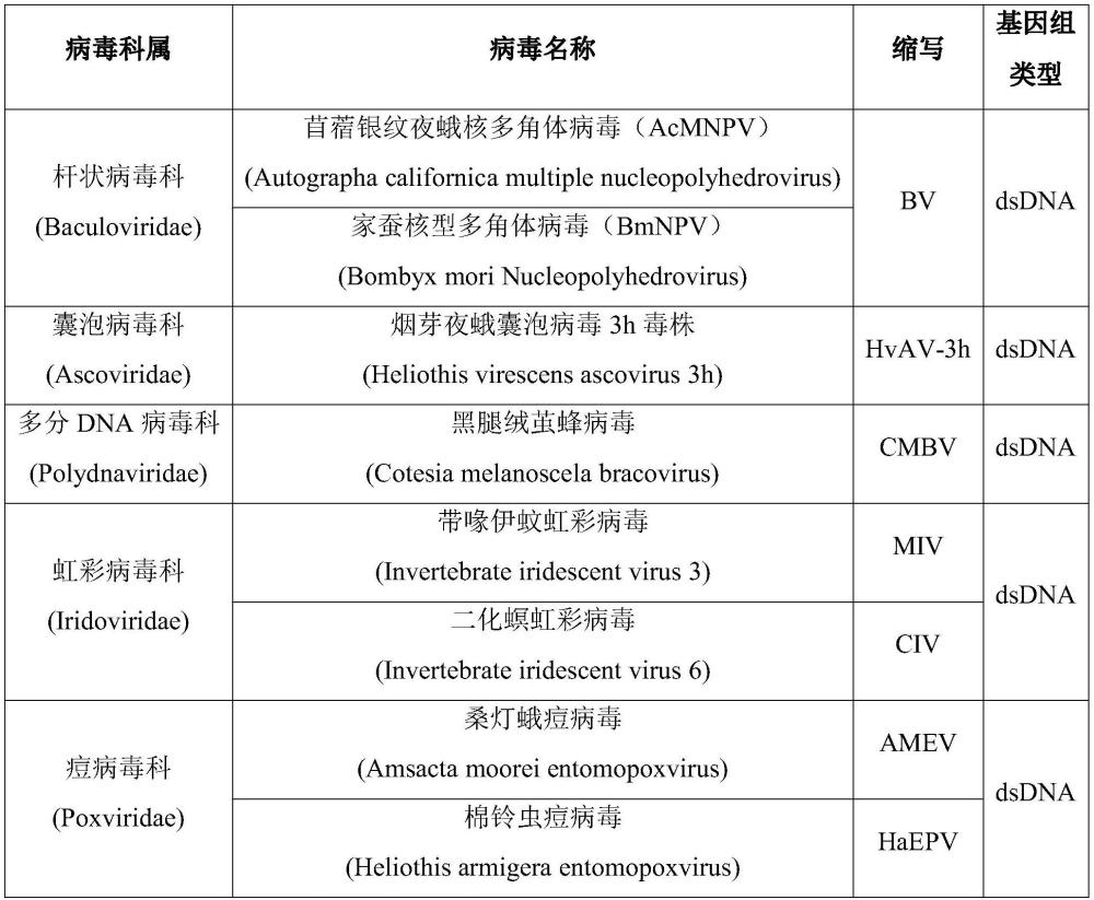 一種用于檢測(cè)昆蟲(chóng)細(xì)胞中多種DNA病毒的多重?zé)晒舛縋CR檢測(cè)組合物、方法及試劑盒與流程