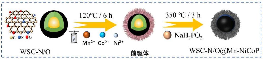 一種花狀碳基Mn摻雜NiCoP薄膜電極材料的制備方法、產(chǎn)品及應(yīng)用