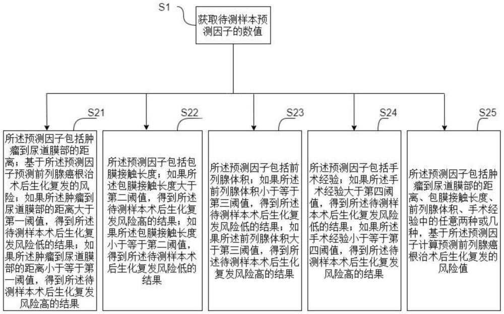 一種預(yù)測前列腺癌根治術(shù)后生化復(fù)發(fā)風(fēng)險的方法和設(shè)備