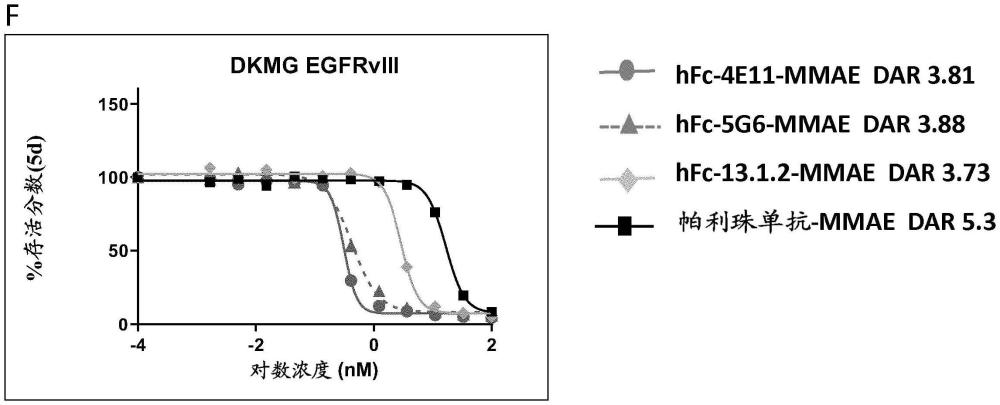 抗-EGFRVIII抗體及其抗原結(jié)合片段的制作方法