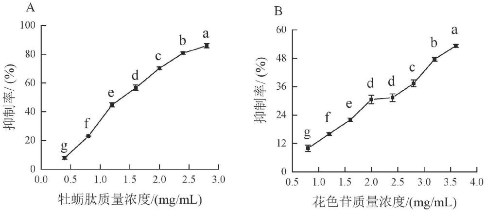 一種牡蠣肽和花色苷組裝復(fù)合物及其制備方法和應(yīng)用