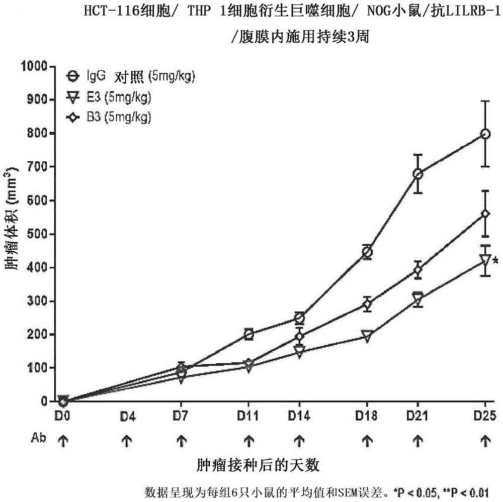 抗LILRB1抗體及其用途的制作方法